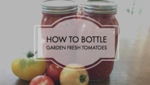 How to bottle Tomatoes