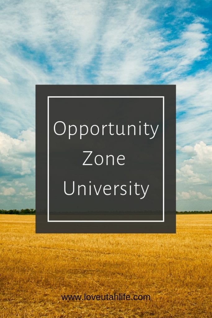 opportunity zone
